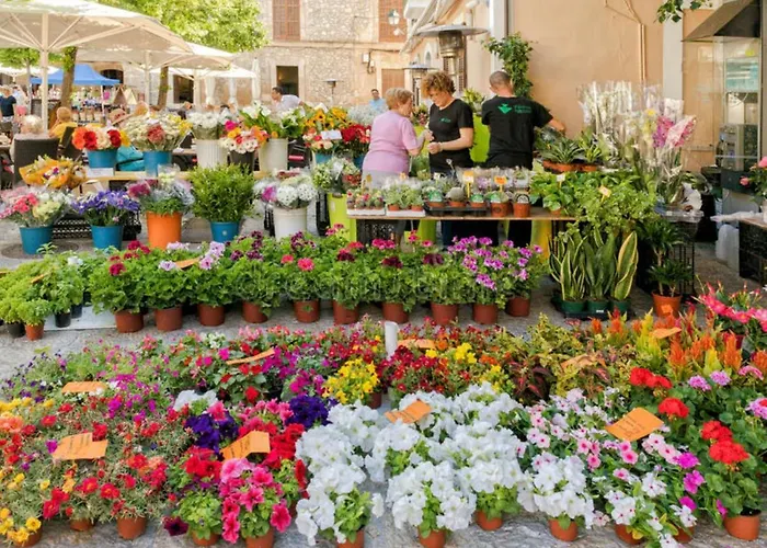 Peric With Pool Quiet And Spacious Wifi Дом отдыха *