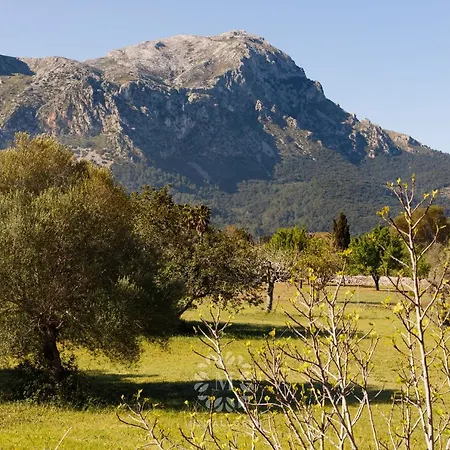 Hébergement de vacances Peric With Pool Quiet&spacious Wifi *