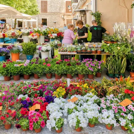 Peric With Pool Quiet&spacious Wifi Hébergement de vacances *