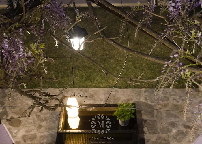 Vakantiehuis Peric With Pool Quiet And Spacious Wifi *