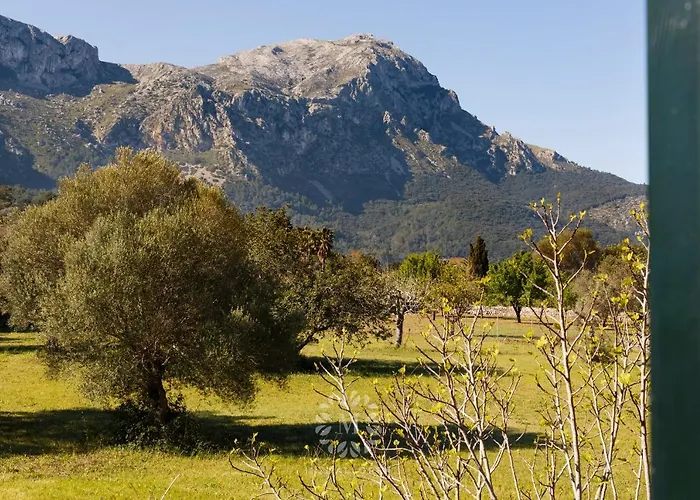 Vakantiehuis Peric With Pool Quiet And Spacious Wifi *