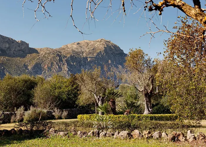 Peric With Pool Quiet And Spacious Wifi Vakantiehuis *